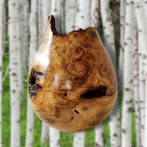 JW-240 Aspen Burl Hollow Woodturning 10x8 $650 at Hunter Wolff Gallery